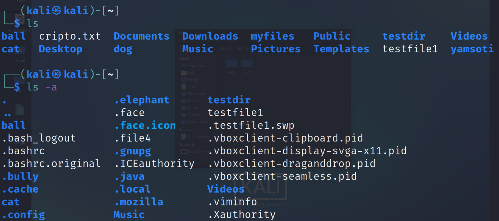 Learn basic commands of Linux - Yamsoti Design Master